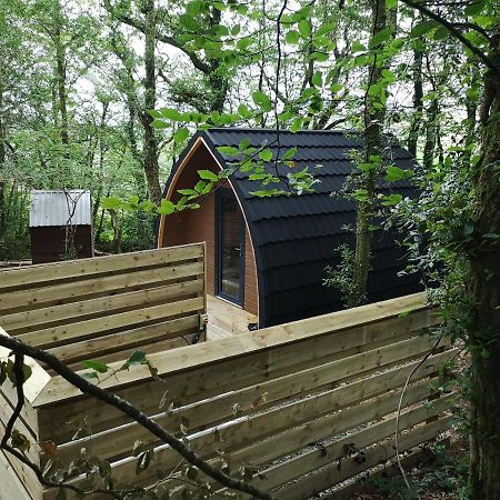 The Pod-Hot Tub-Woodland Lodges-St Clears-كرمرثن المظهر الخارجي الصورة