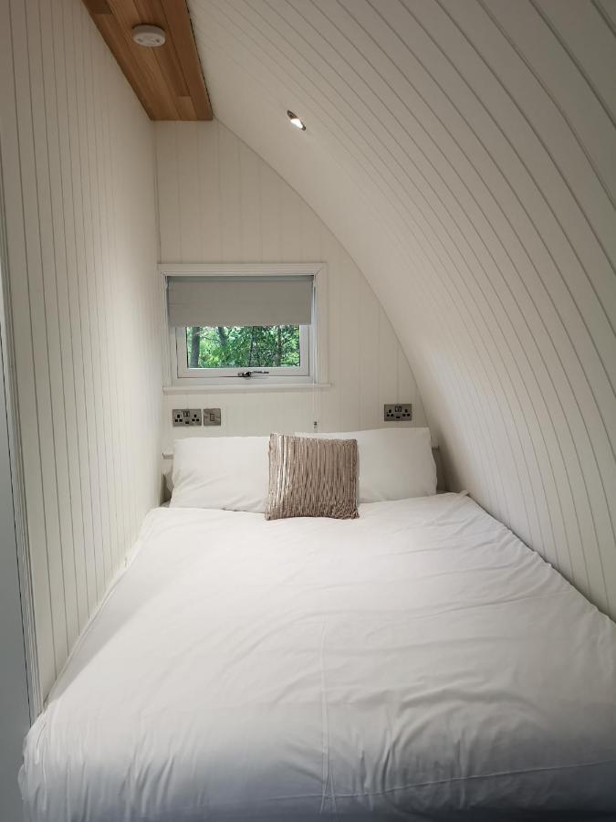 The Pod-Hot Tub-Woodland Lodges-St Clears-كرمرثن المظهر الخارجي الصورة