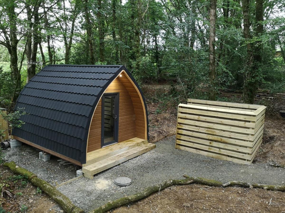 The Pod-Hot Tub-Woodland Lodges-St Clears-كرمرثن المظهر الخارجي الصورة