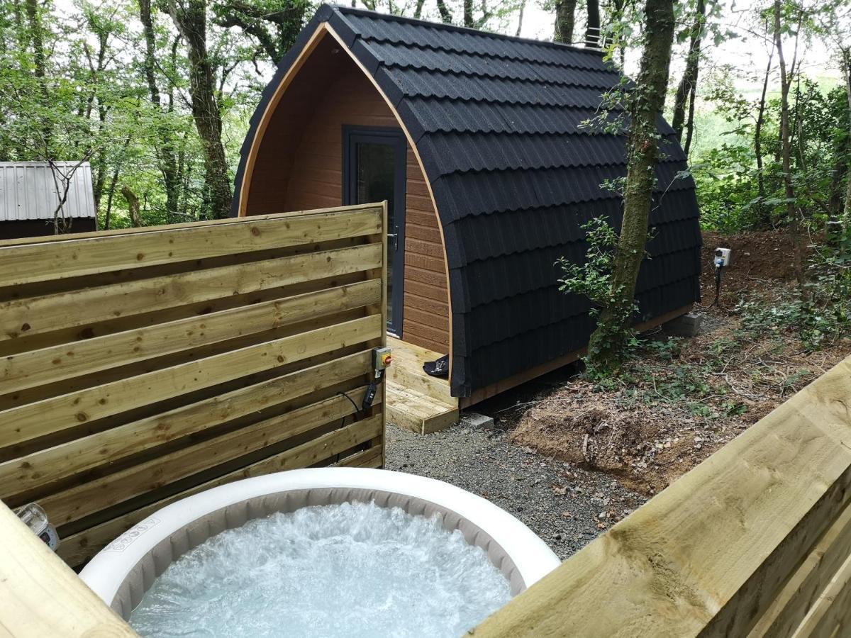 The Pod-Hot Tub-Woodland Lodges-St Clears-كرمرثن المظهر الخارجي الصورة