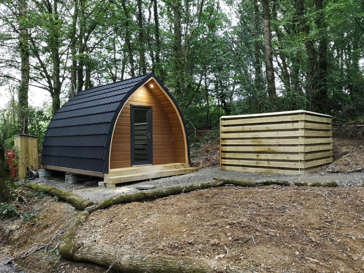 The Pod-Hot Tub-Woodland Lodges-St Clears-كرمرثن المظهر الخارجي الصورة