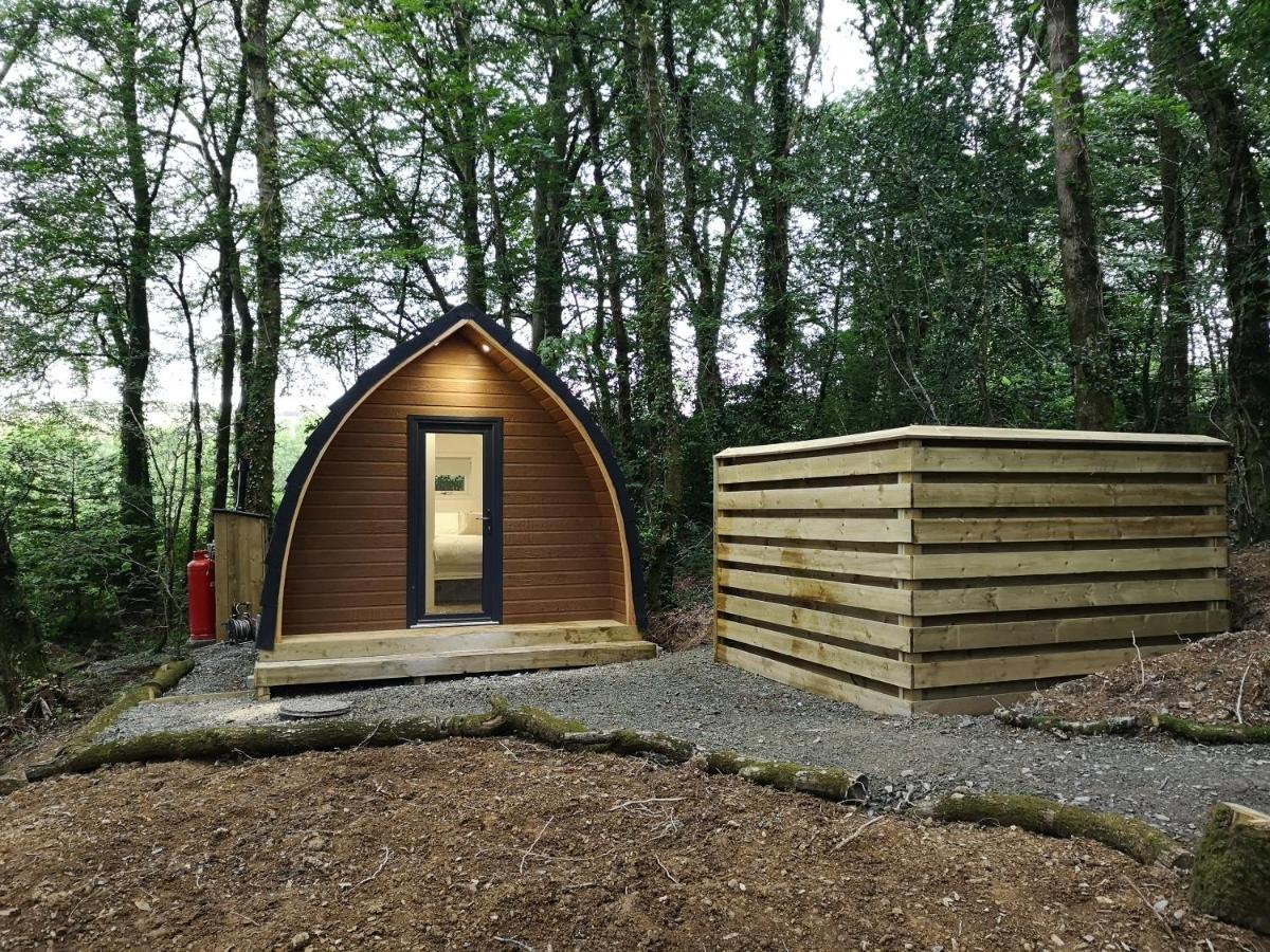 The Pod-Hot Tub-Woodland Lodges-St Clears-كرمرثن المظهر الخارجي الصورة