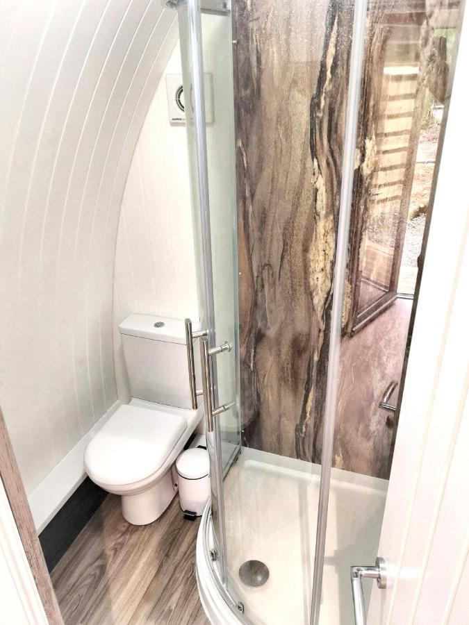 The Pod-Hot Tub-Woodland Lodges-St Clears-كرمرثن المظهر الخارجي الصورة