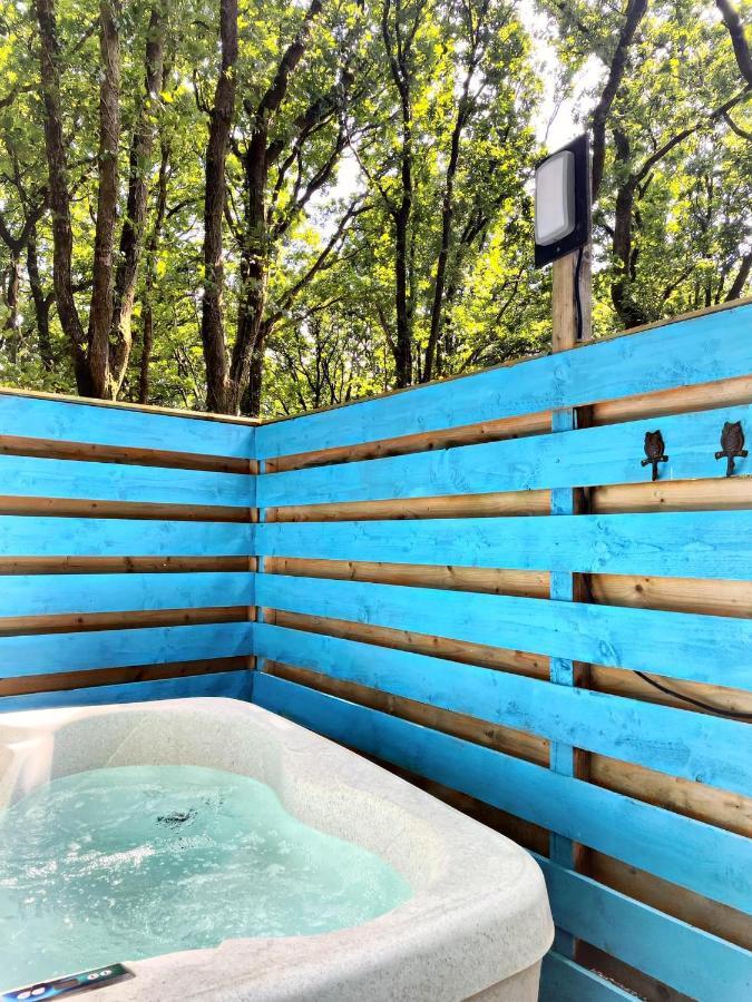 The Pod-Hot Tub-Woodland Lodges-St Clears-كرمرثن المظهر الخارجي الصورة